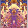 Lord Of Spore Bee Shaman Variety Pack - Psilocybe Cubensis spores